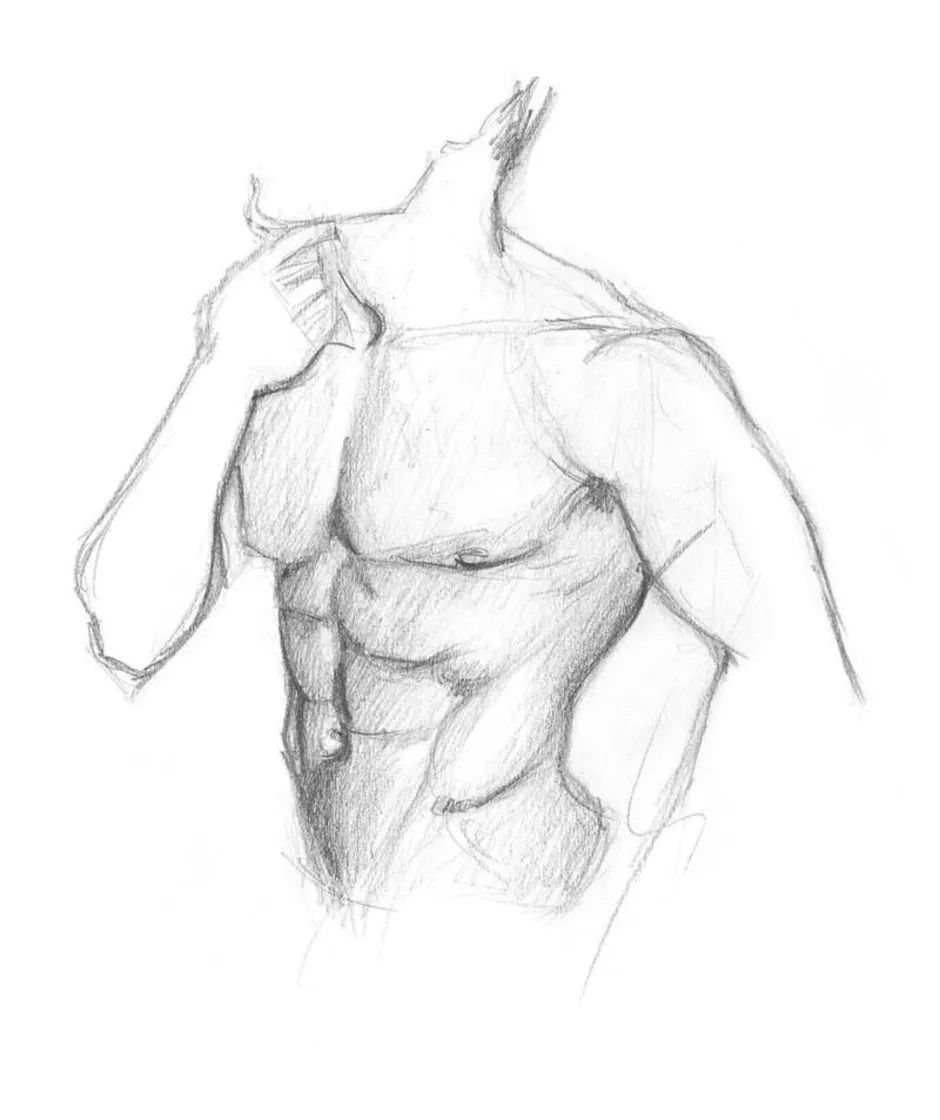 Красивые рисунки тела. Торс зарисовки. Мужское тело для рисования. Наброски торса. Эскиз мужского тела.