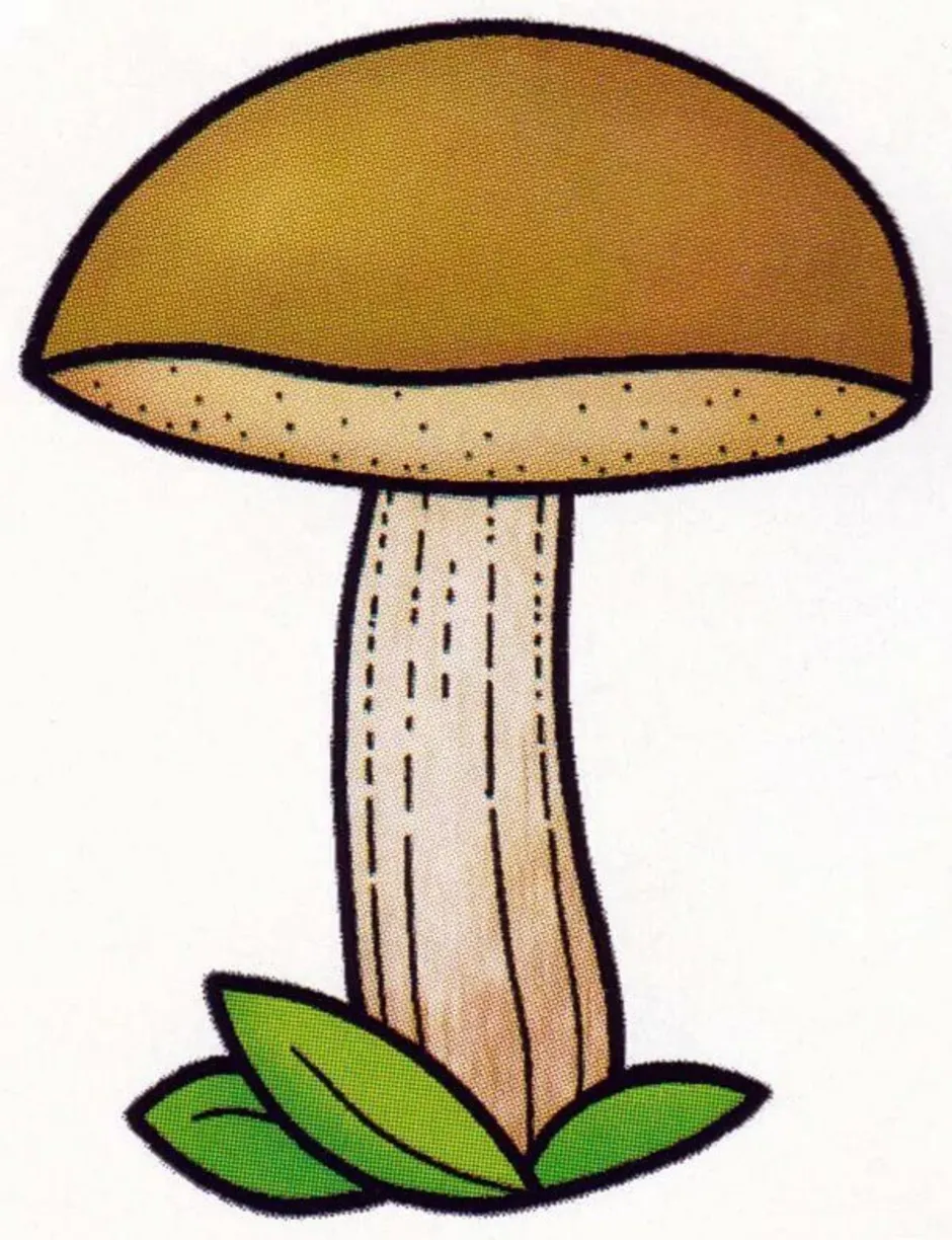 Грибы рисунок для детей. Подберезовик гриб для детей. Подберезовик гриб рисунок для детей. Рисунки грибов для детей. Нарисовать гриб.