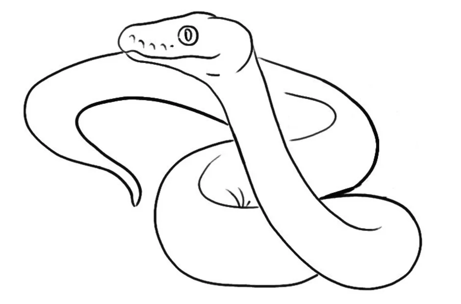 Змея рисунок. Питон раскраска для детей. Змея карандашом.