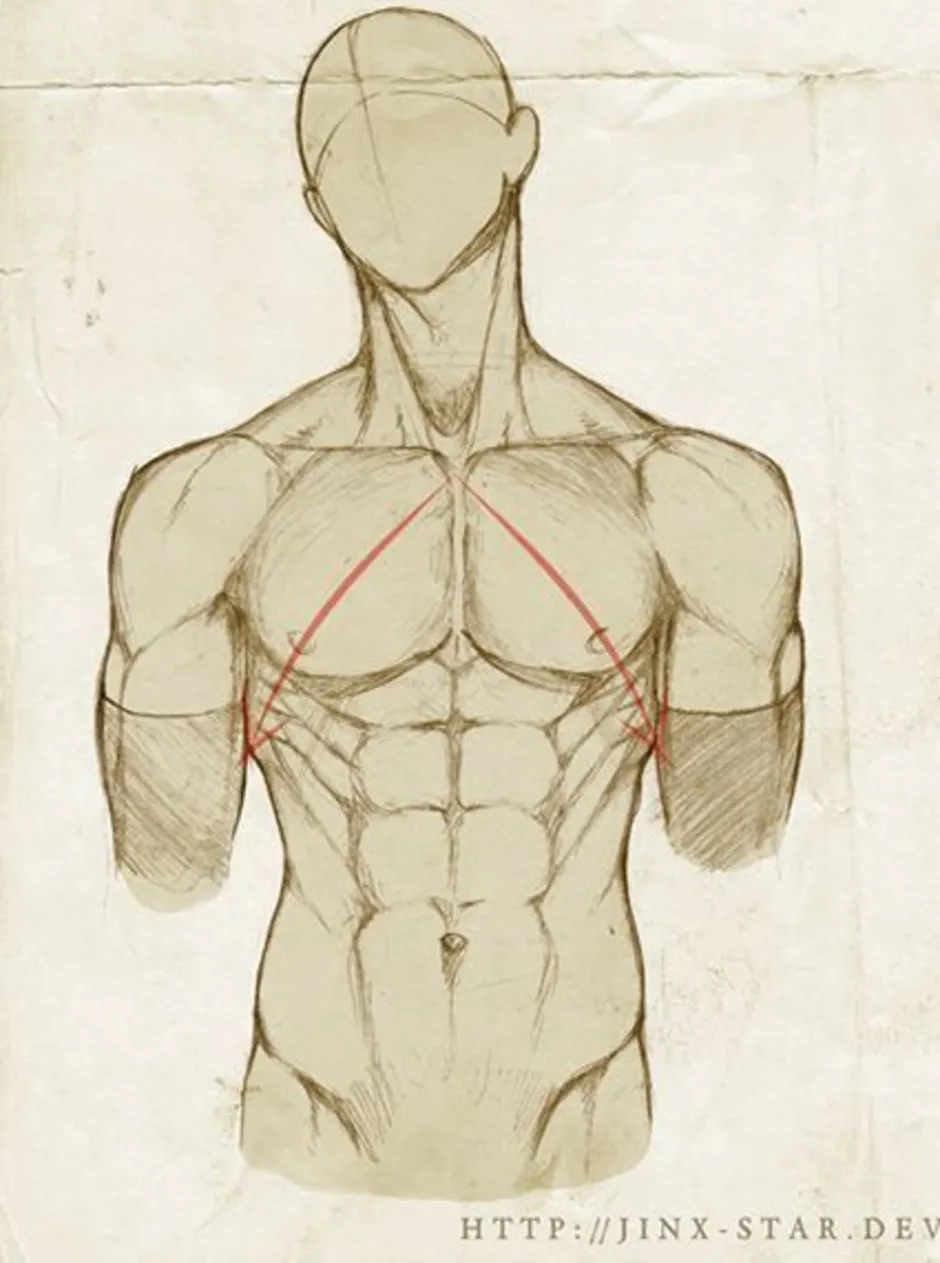 Мужской торс рисунок аниме