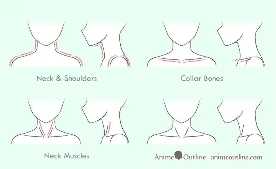 Как рисовать аниме шею и плечи девушки