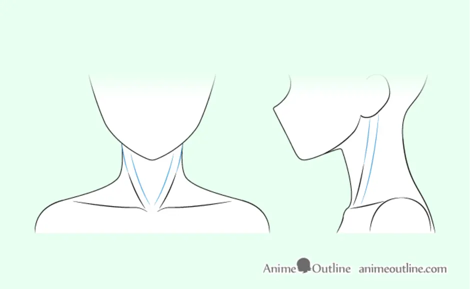 Рисунок шеи девушки. Аниме шея. Аниме ключицы. Шея рисунок. Ключицы и шея референс.