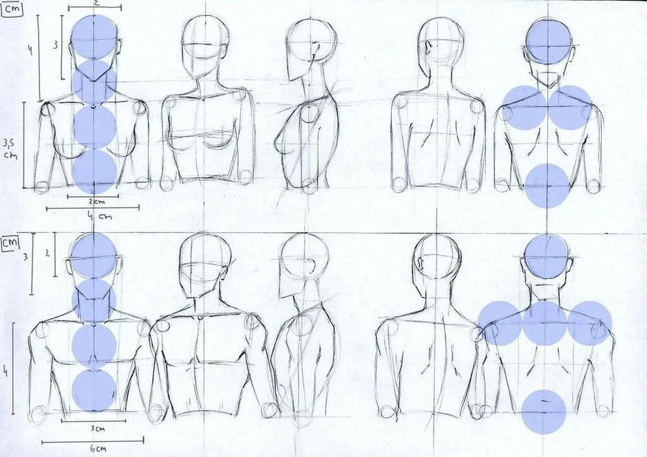Как рисовать плечи аниме
