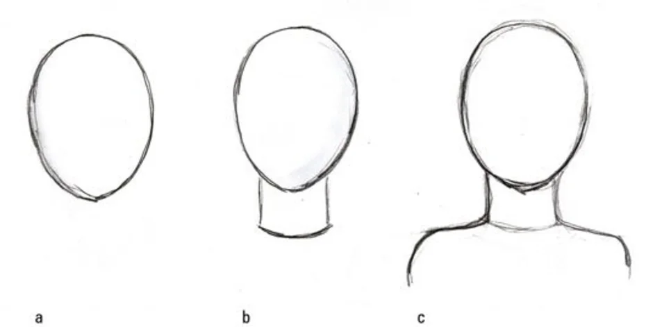 Как рисовать человека голову и шею