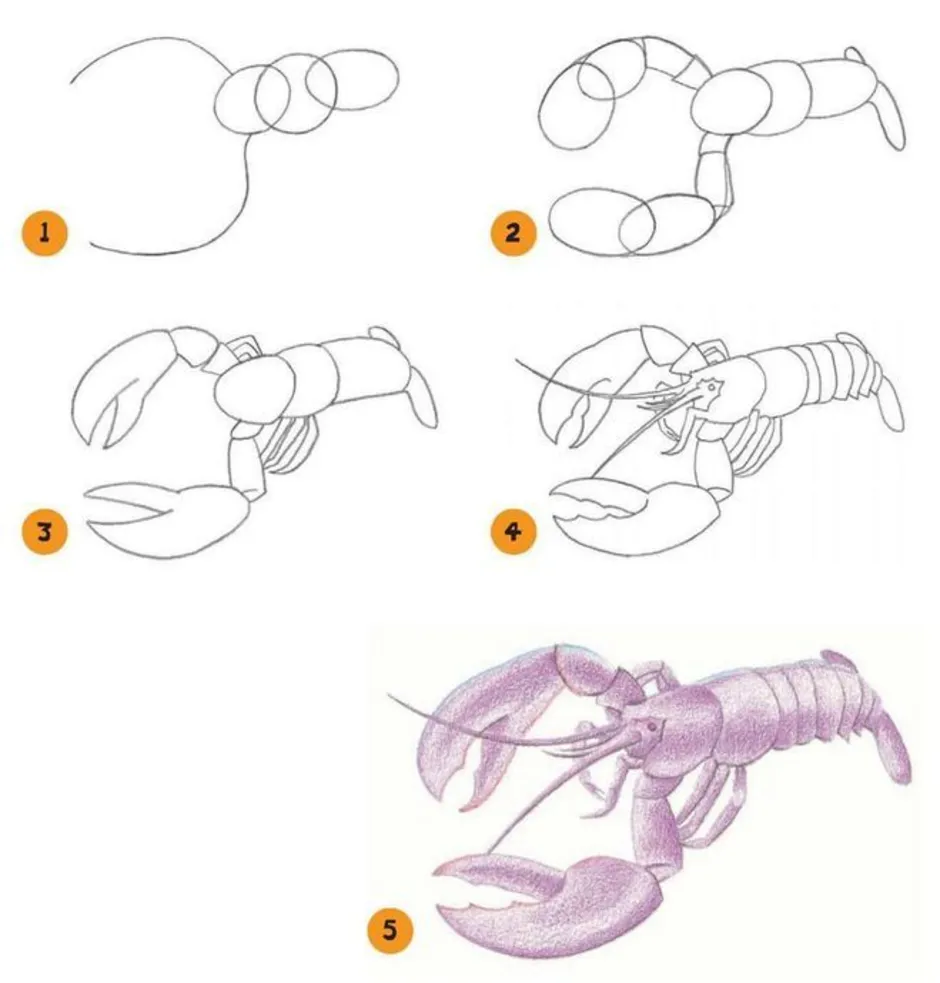 Как нарисовать лобстера