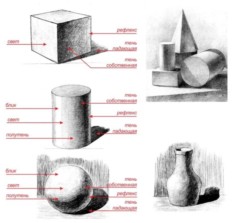 Свет тень полутень рефлекс блик в рисунке