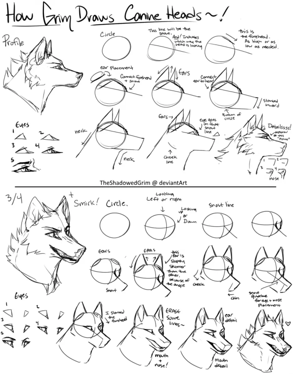 Как нарисовать морду волка спереди