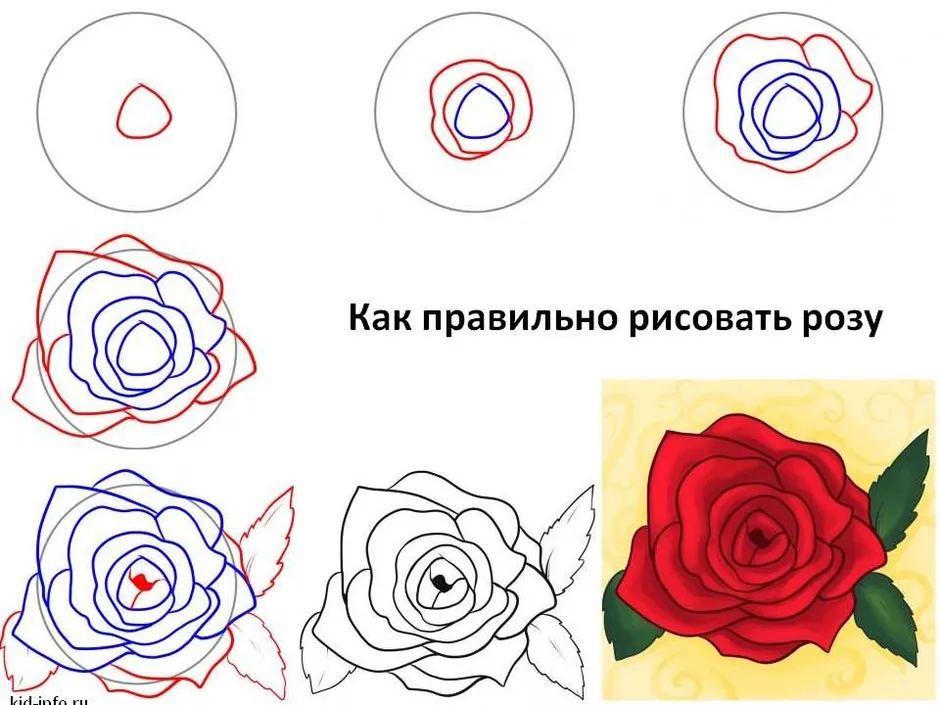 Как быстро научиться рисовать карандашом цветы