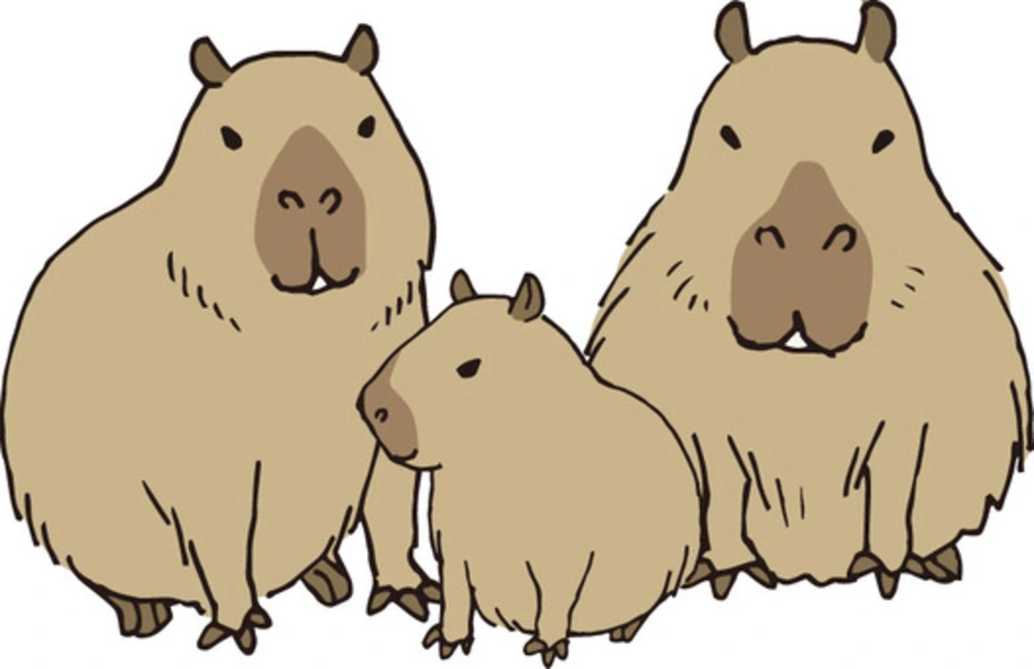 Капибара рисунок. Capybara мультяшный. Капибара вектор. Стилизованная капибара. Капибара арт мультяшный.