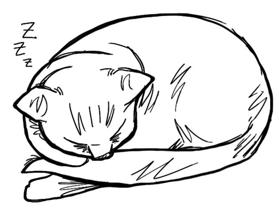 Cat nap раскраска. Спящий кот раскраска. Спящий кот.