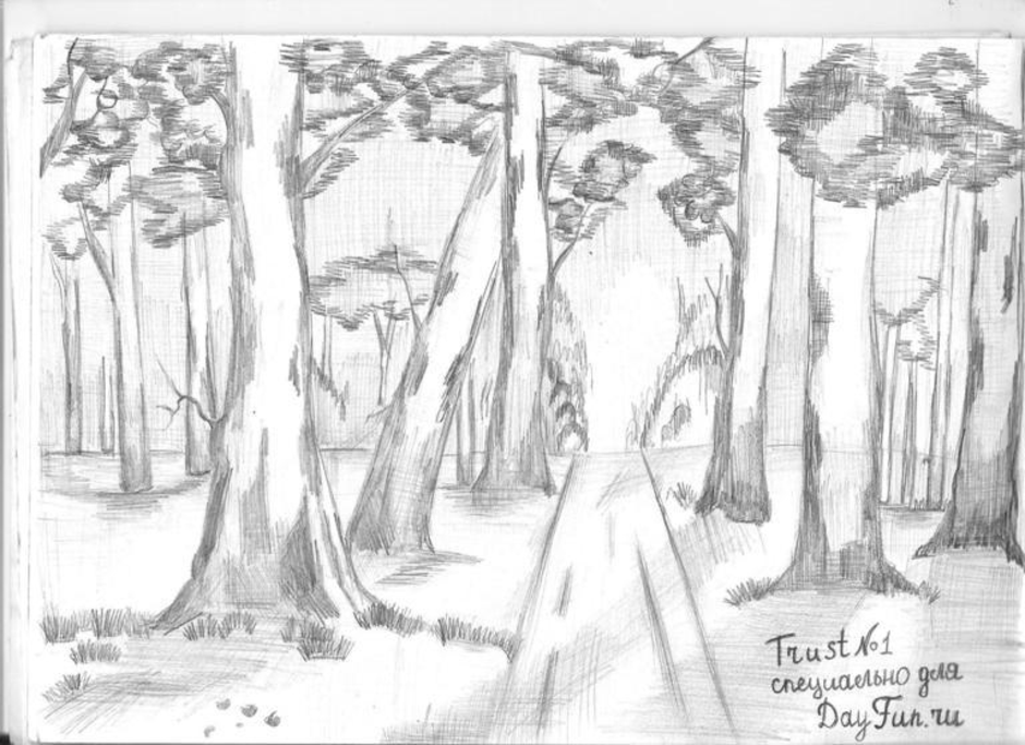Лес карандашом легко. Рисунки для срисовки природа. Лес карандашом. Зарисовки леса. Рисунки карандашом природа.
