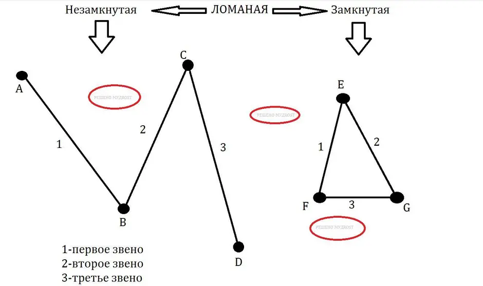 Ломаная из 5 звеньев. Ломаная состоящая из 3 звеньев.