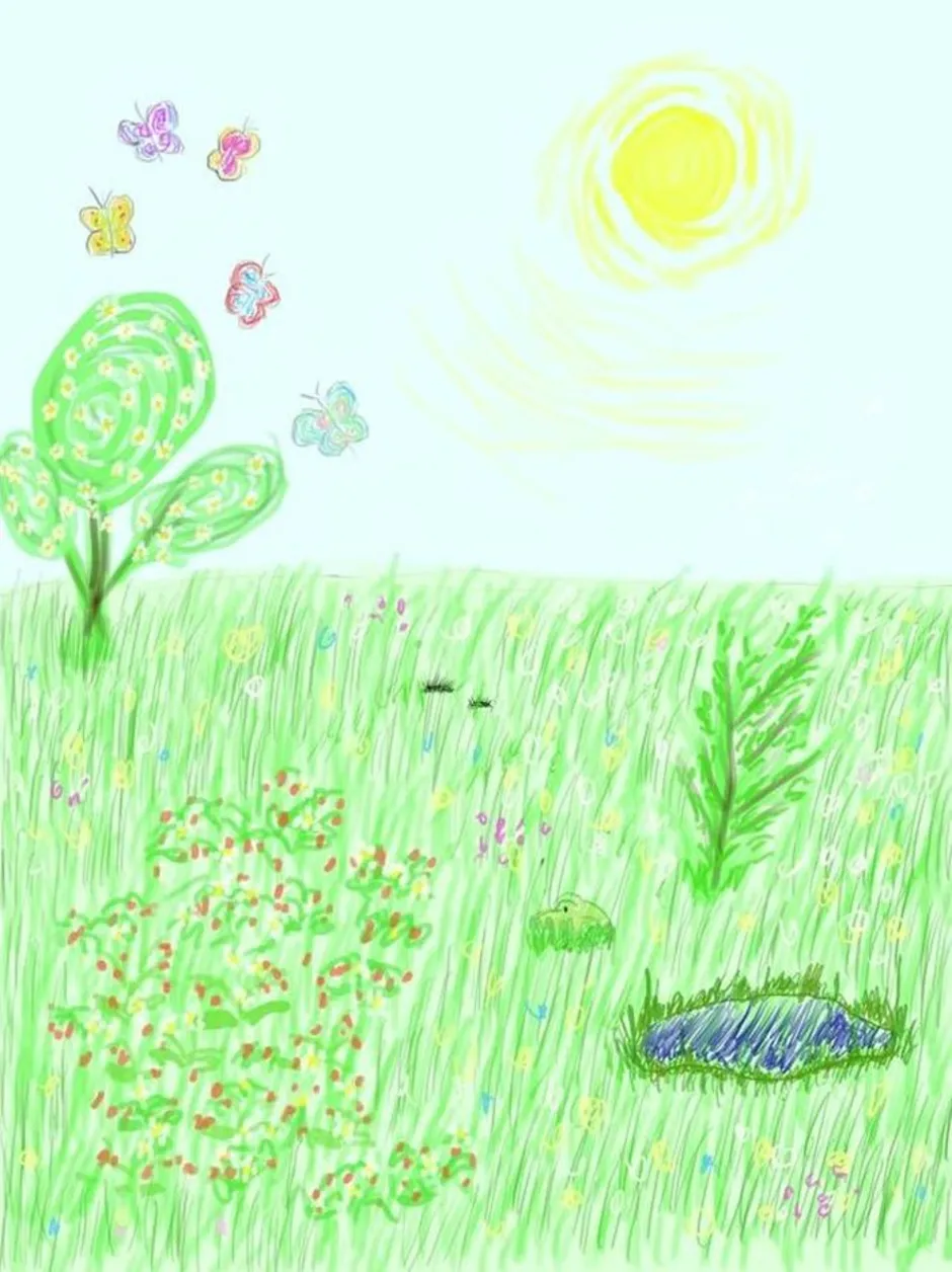 Рисунок к стихотворению на лугу. Рисунок Луга. Рисунок лето. Летние рисунки. Летний рисунок для детей.