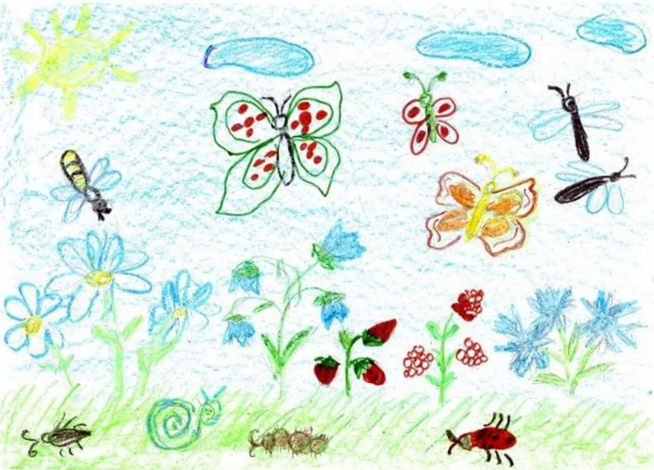 Нарисовать рисунок на лугу. Летний рисунок для детей. Рисование с детьми на тему насекомые. Рисование на тему лето. Рисунок Луга.