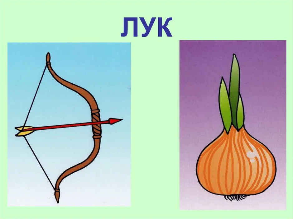 Рисунок лука и лука