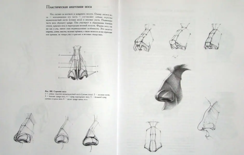 Книги по академическому рисунку для начинающих