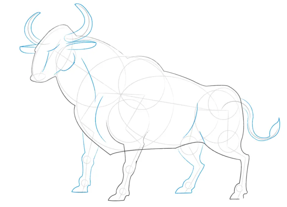 Как нарисовать голову быка поэтапно