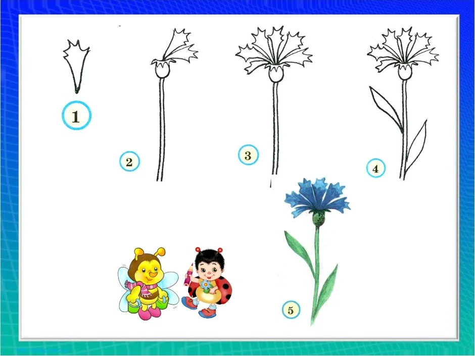 Поэтапное рисование цветов 2 класс презентация