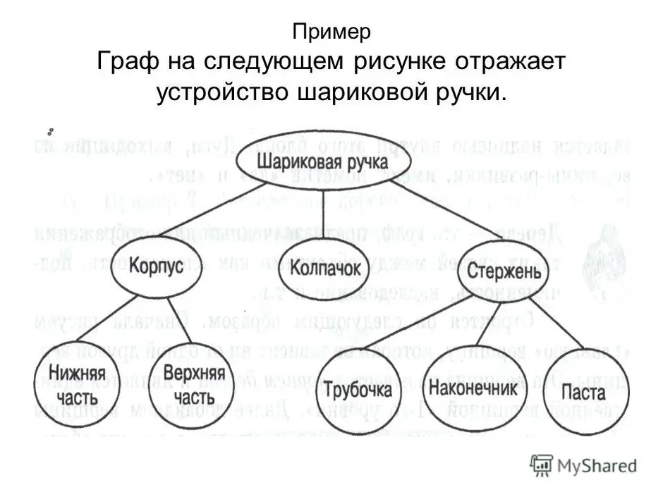 Проект графы по информатике