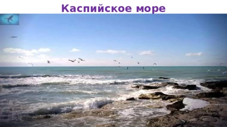 Как нарисовать каспийское море