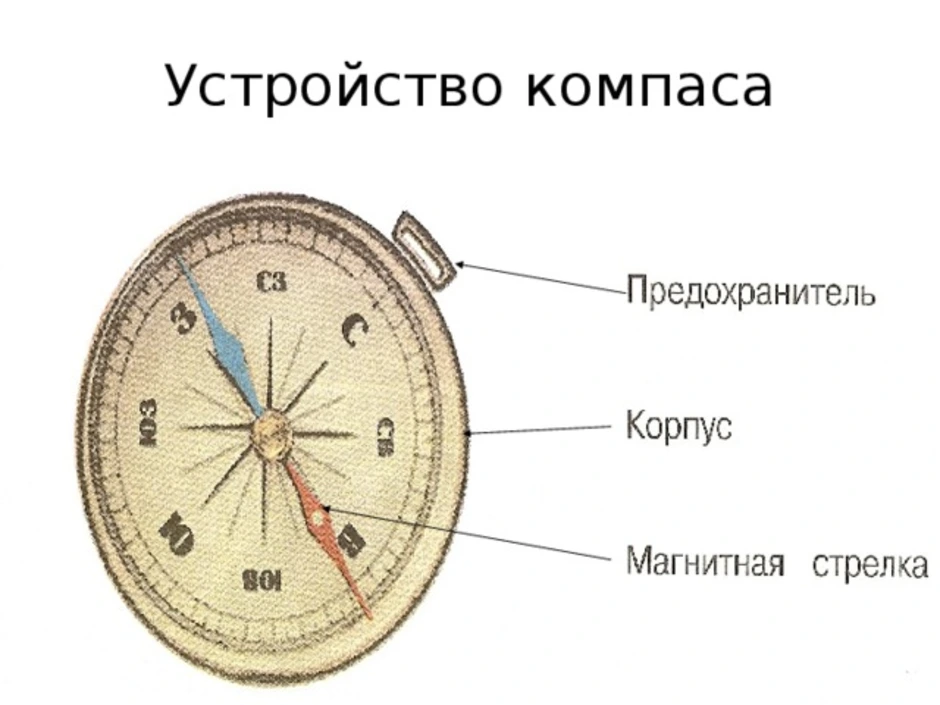 Нужен ли компас. Устройство магнитного компаса. Части компаса как называется. Конструкция магнитного компаса. Строение магнитного компаса.