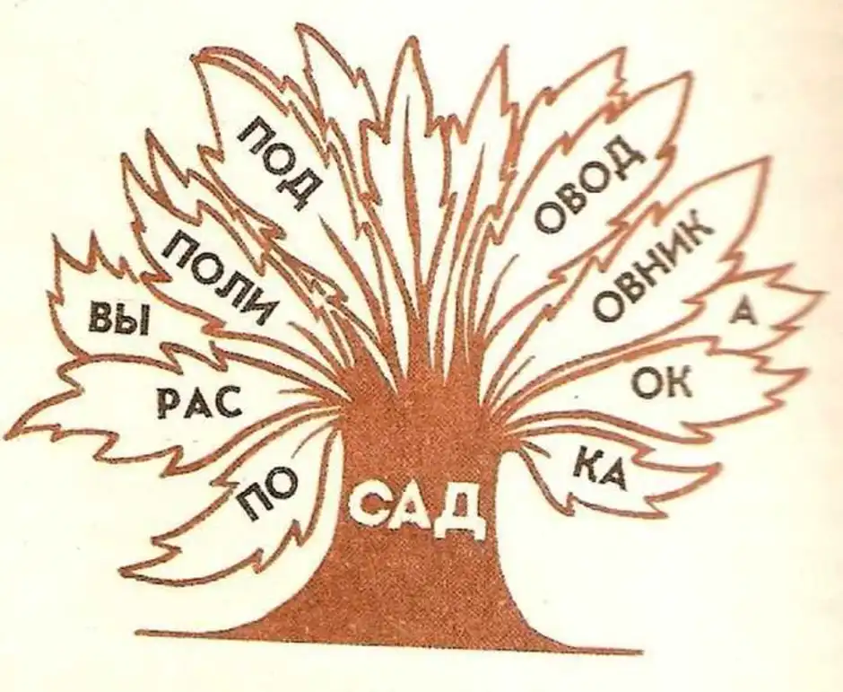 Нарисовал корень слова