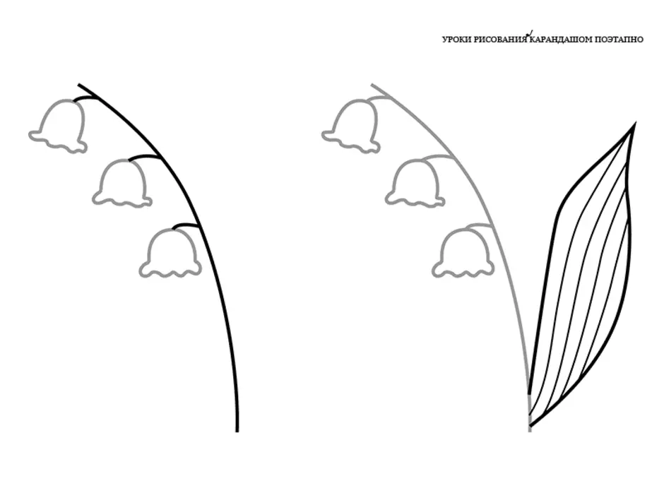 Нарисовать ландыш 2 класс окружающий мир