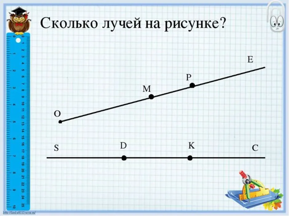 Сколько лучей на рисунке выбери правильный ответ