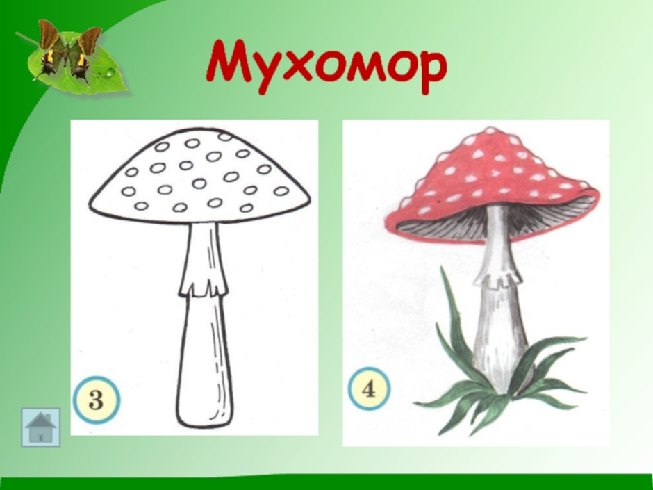 Мухомор 2 класс рисунок