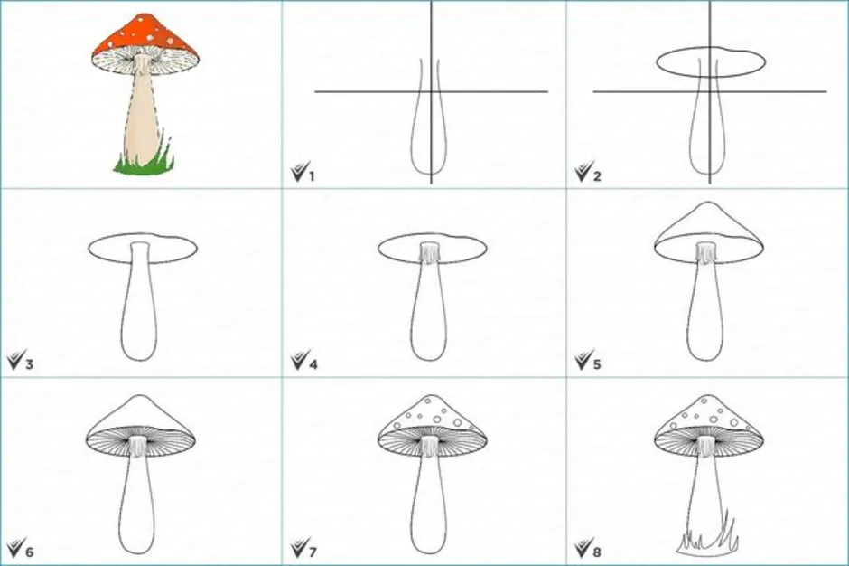 Грибы поэтапно. Рисование грибов белый гриб мухомор. Поэтапное рисование грибов. Нарисовать гриб поэтапно. Рисование гриба поэтапно.