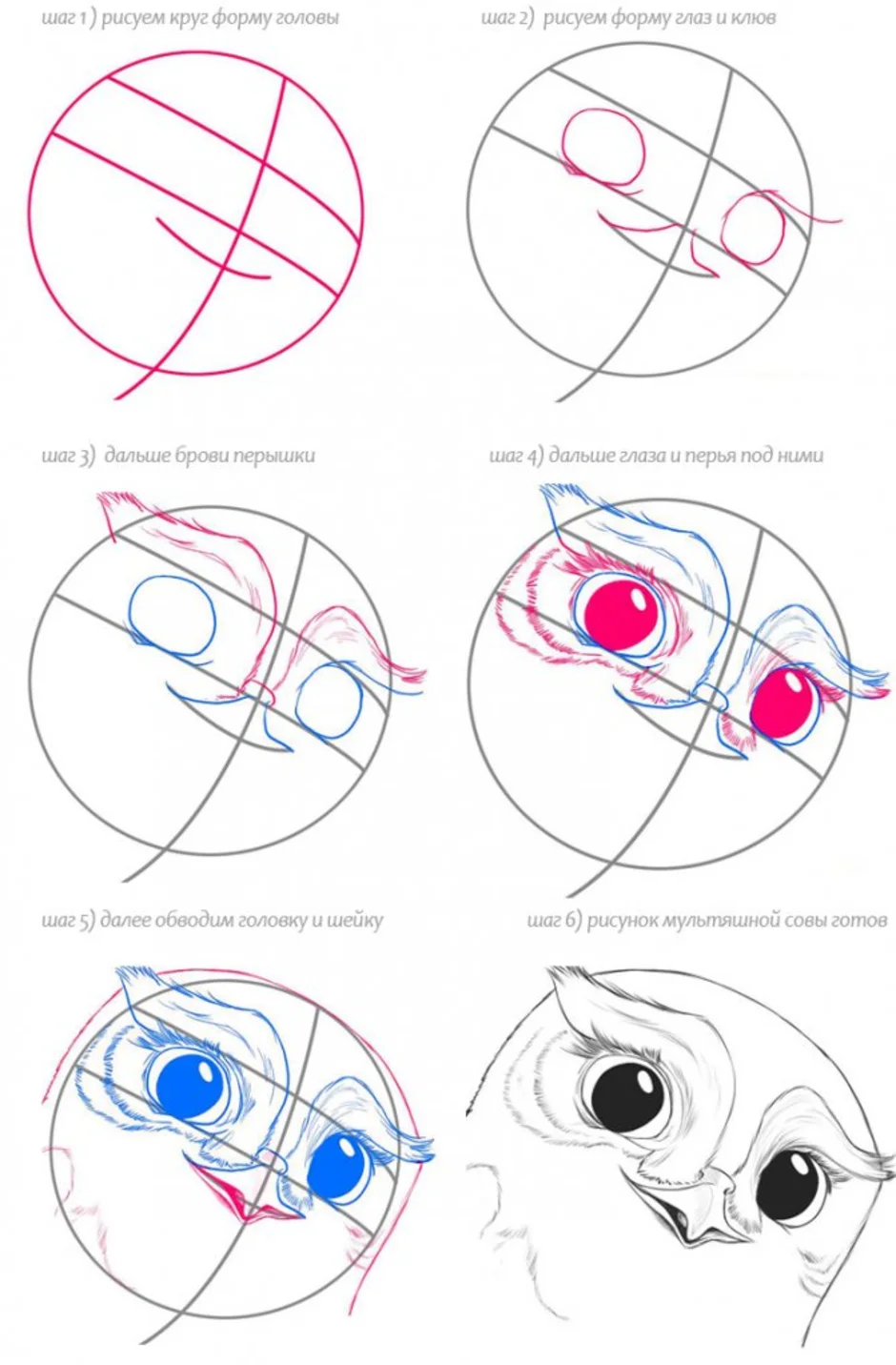 Рисунки по шагам. Как нарисовать сову. Сова рисунок пошагово. Как нарисовать сову поэтапно. Рисование Совы пошагово.