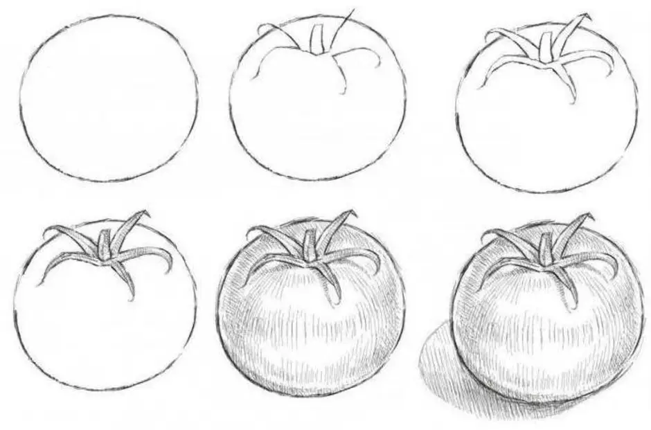Картинка помидор нарисовать