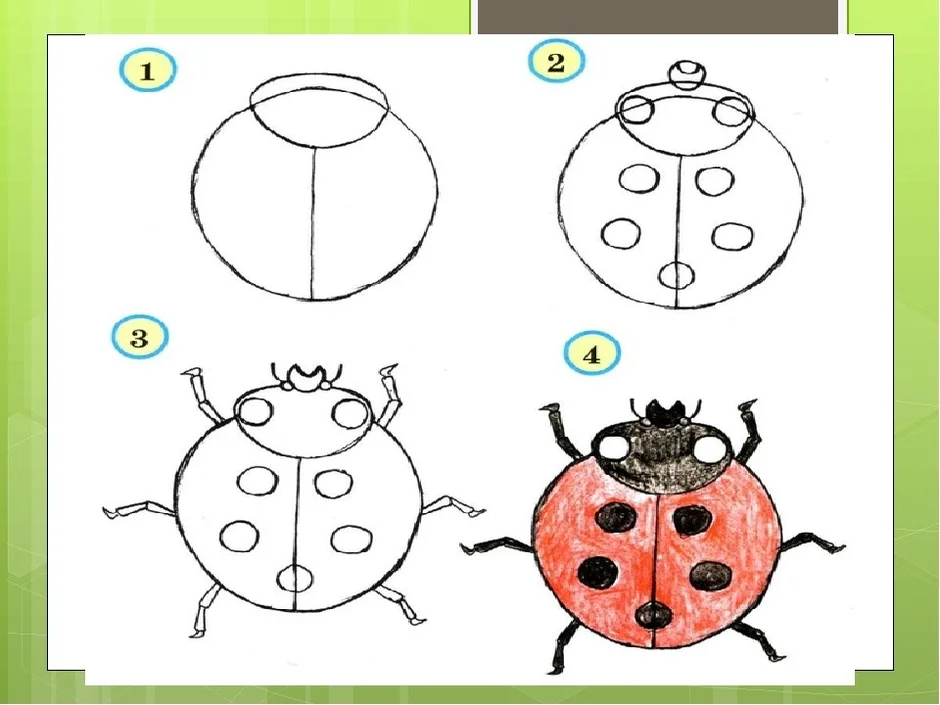 Изо презентация 1 класс разноцветные жуки поэтапное рисование