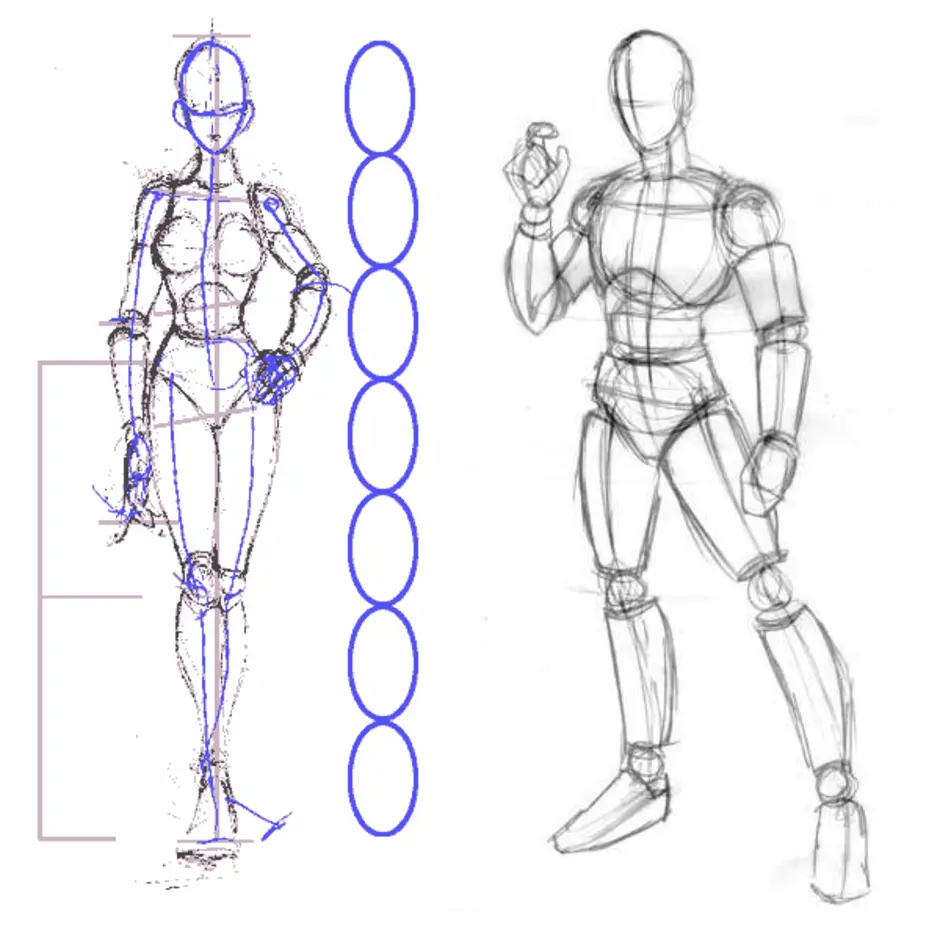 Уроки построение человека. Пропорции тела человека карандашом. Тело для рисования. Анатомия человека для рисования. Анатомия человека рисо.
