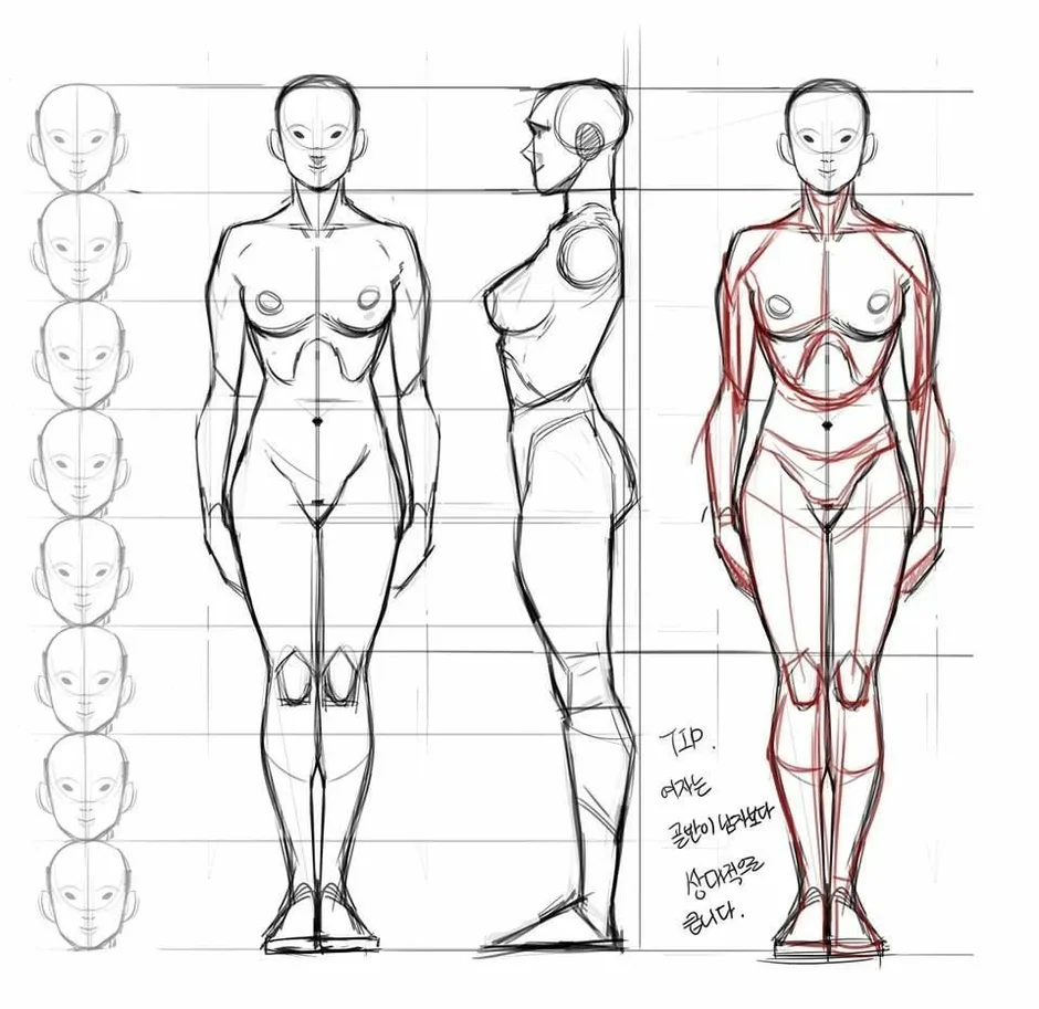 Как правильно рисовать пропорции человека в полный рост