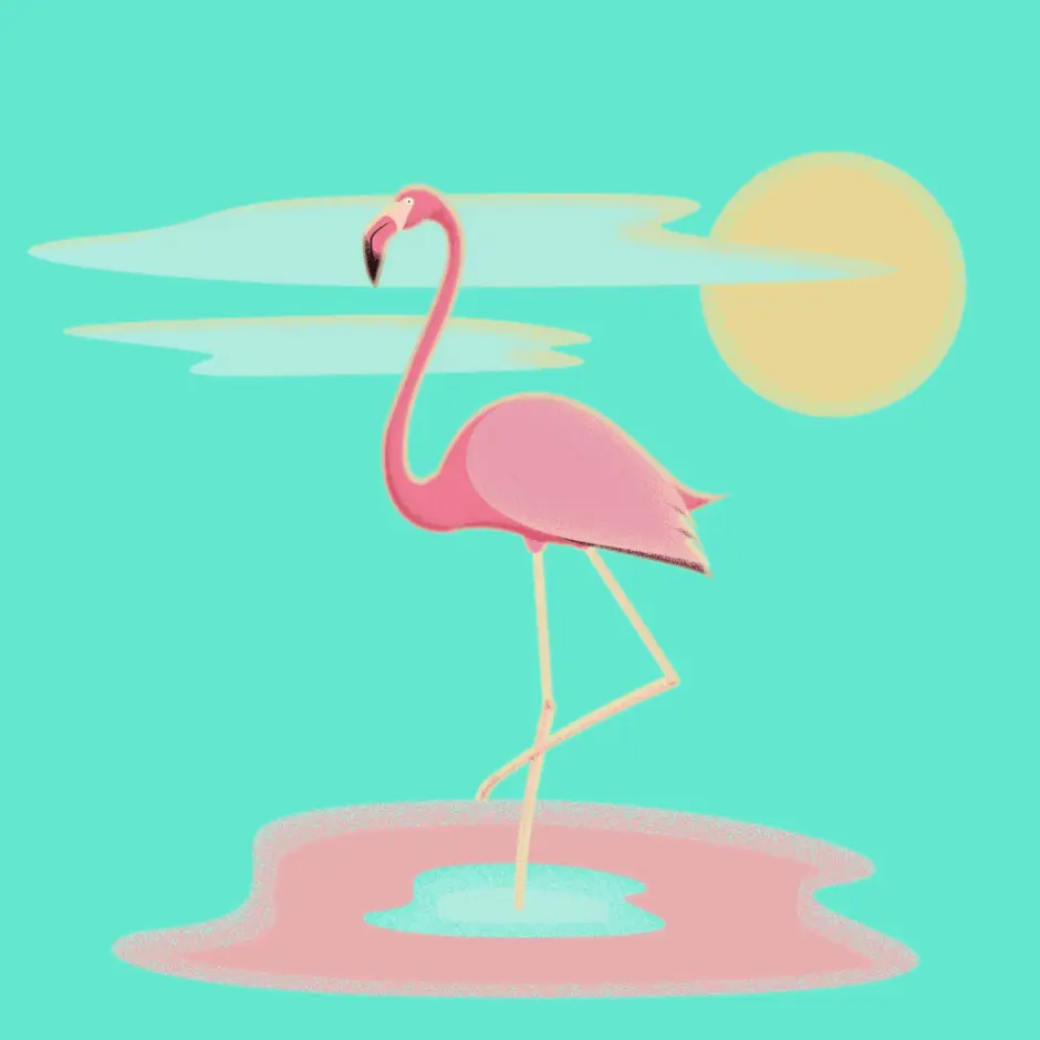 Фламинго легко. Фламинго аватар. Милые Фламинго. Фламинго мультяшный. Фламинго иллюстрация.