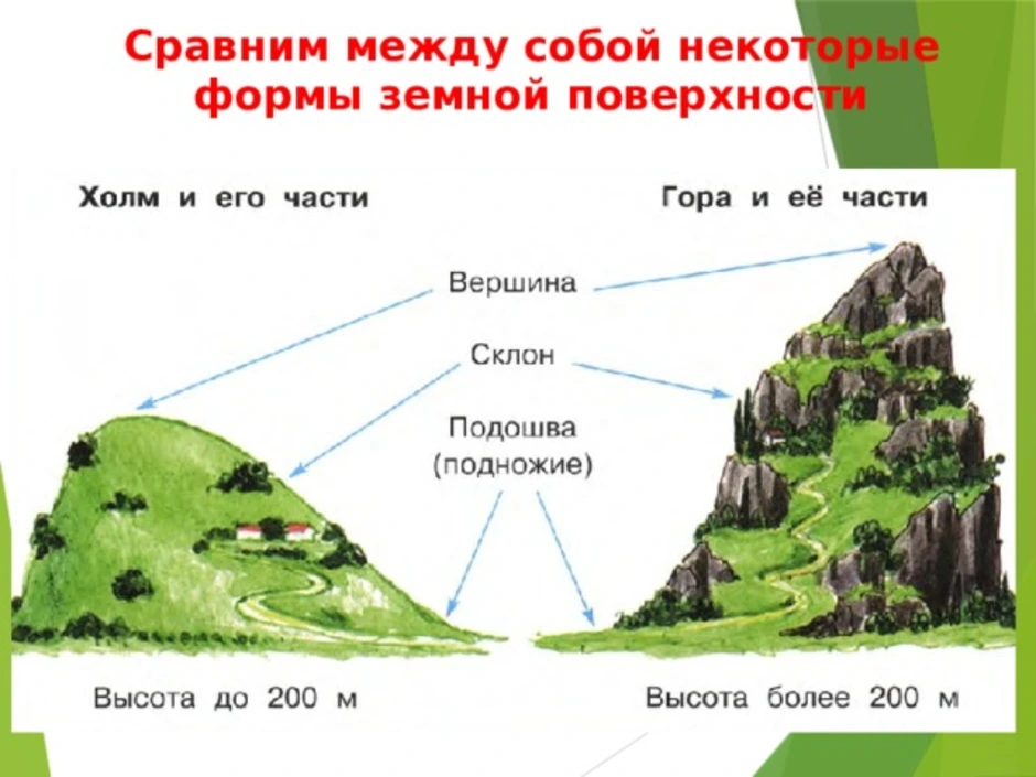 Какой высоты могут достигать холмы. Строение горы и холма. Схема горы и холма. Формы земной поверхности горы. Формы земной поверхности холм.