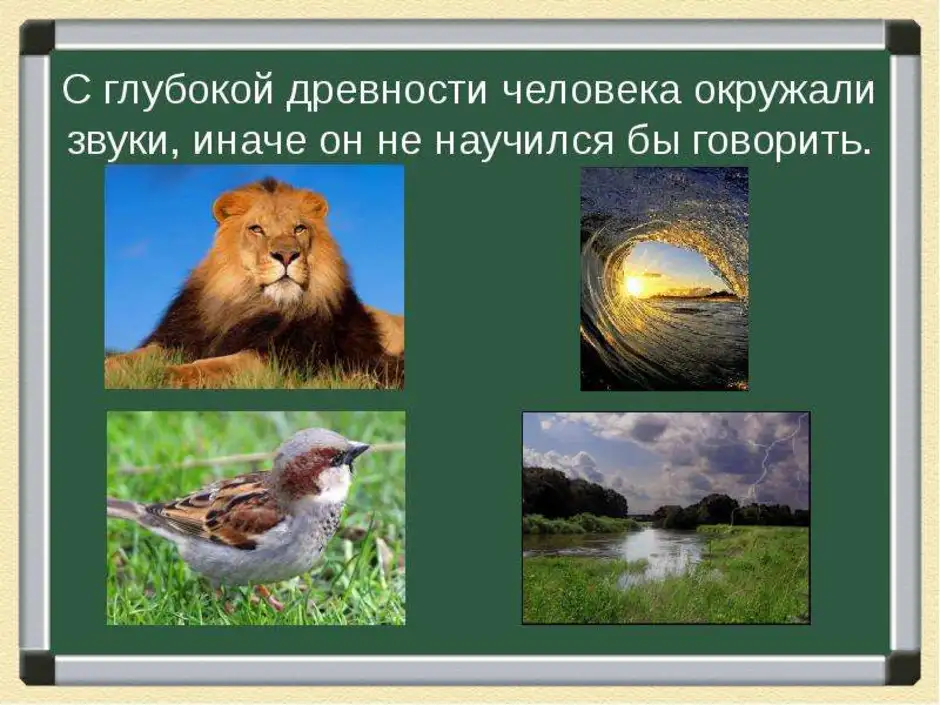 Окружающий звук. Звуки живой природы. Источники звука в природе. Презентация звуки природы. Звук для презентации.