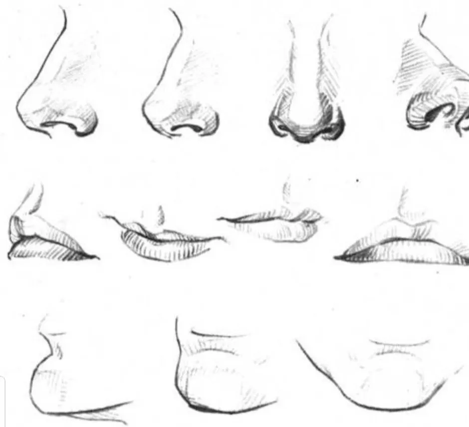 Как научиться рисовать нос и губы