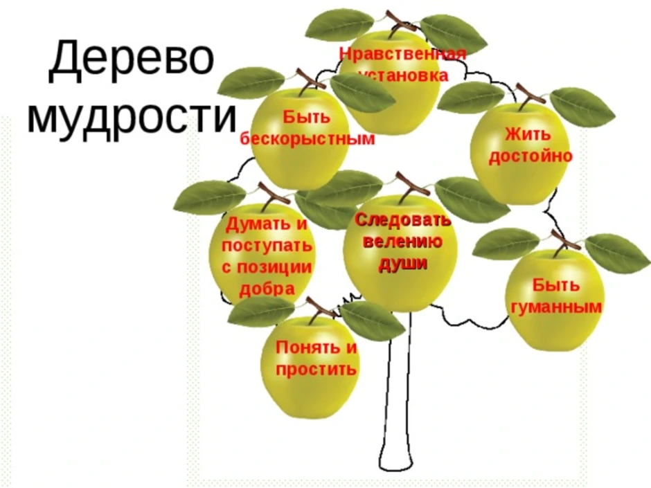 Нравственная установка. Дерево мудрости. Дерево мудрости и плоды своих нравственных достижений. Нарисуй своё дерево мудрости и плоды своих нравственных достижений. Дерево нравственных достижений.