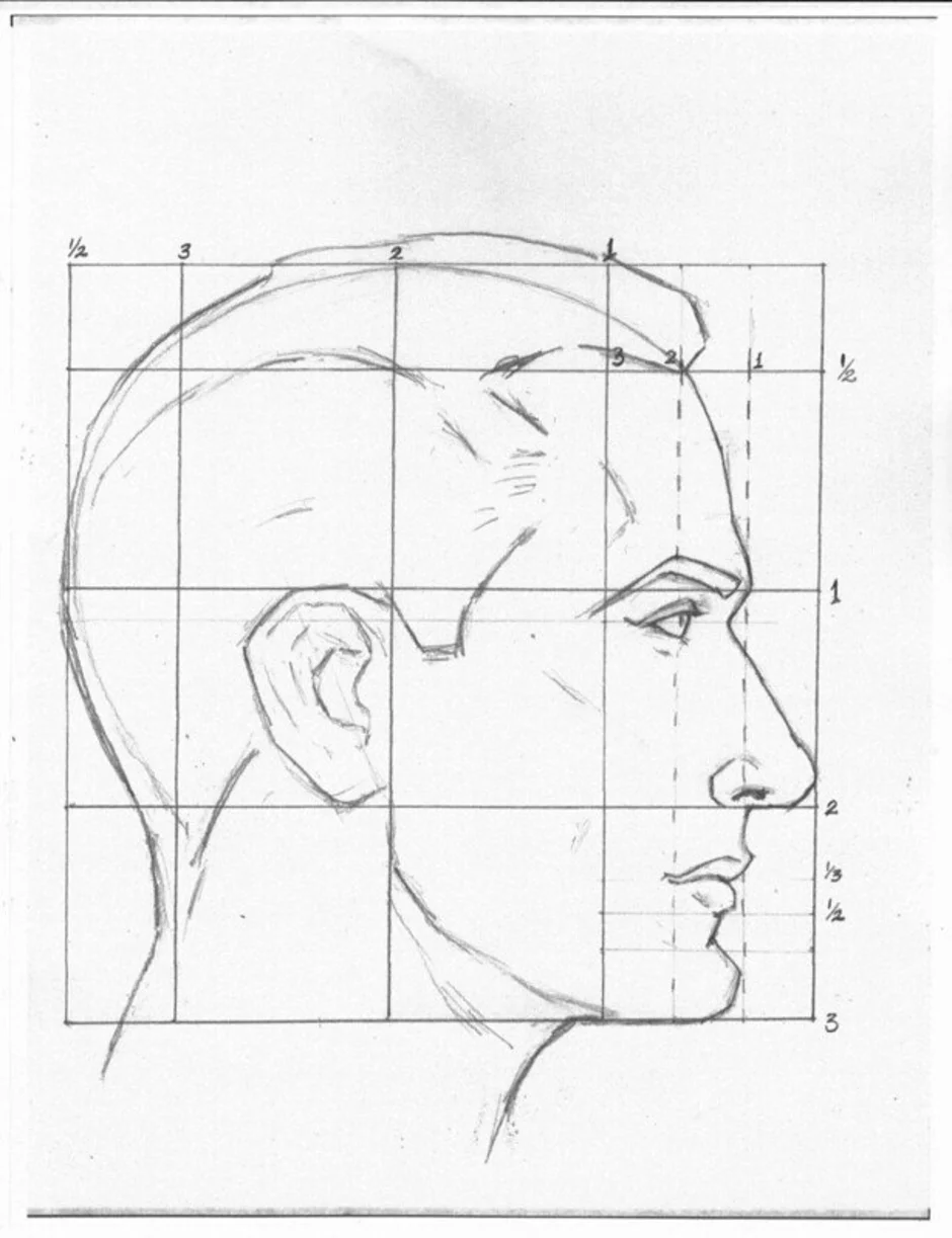 Профиль поэтапно. Мужское лицо в профиль. Рисование лица в профиль. Изображение головы. Лицо в профиль схема.