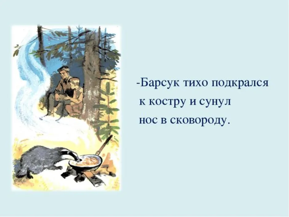 Рисунок барсучий нос