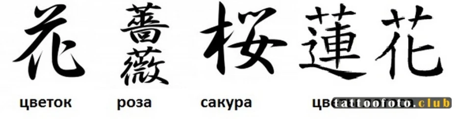 На китайском полетит. Китайские иероглифы. Японские иероглифы и их значение. Японские надписи. Японские символы и их значение.