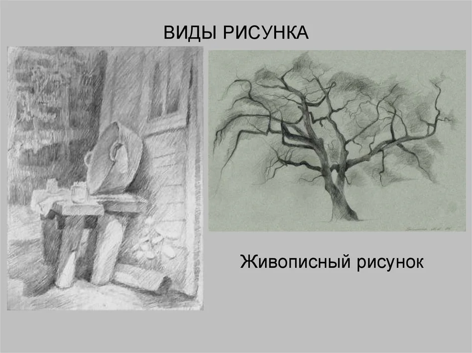 Какие виды рисунков существуют