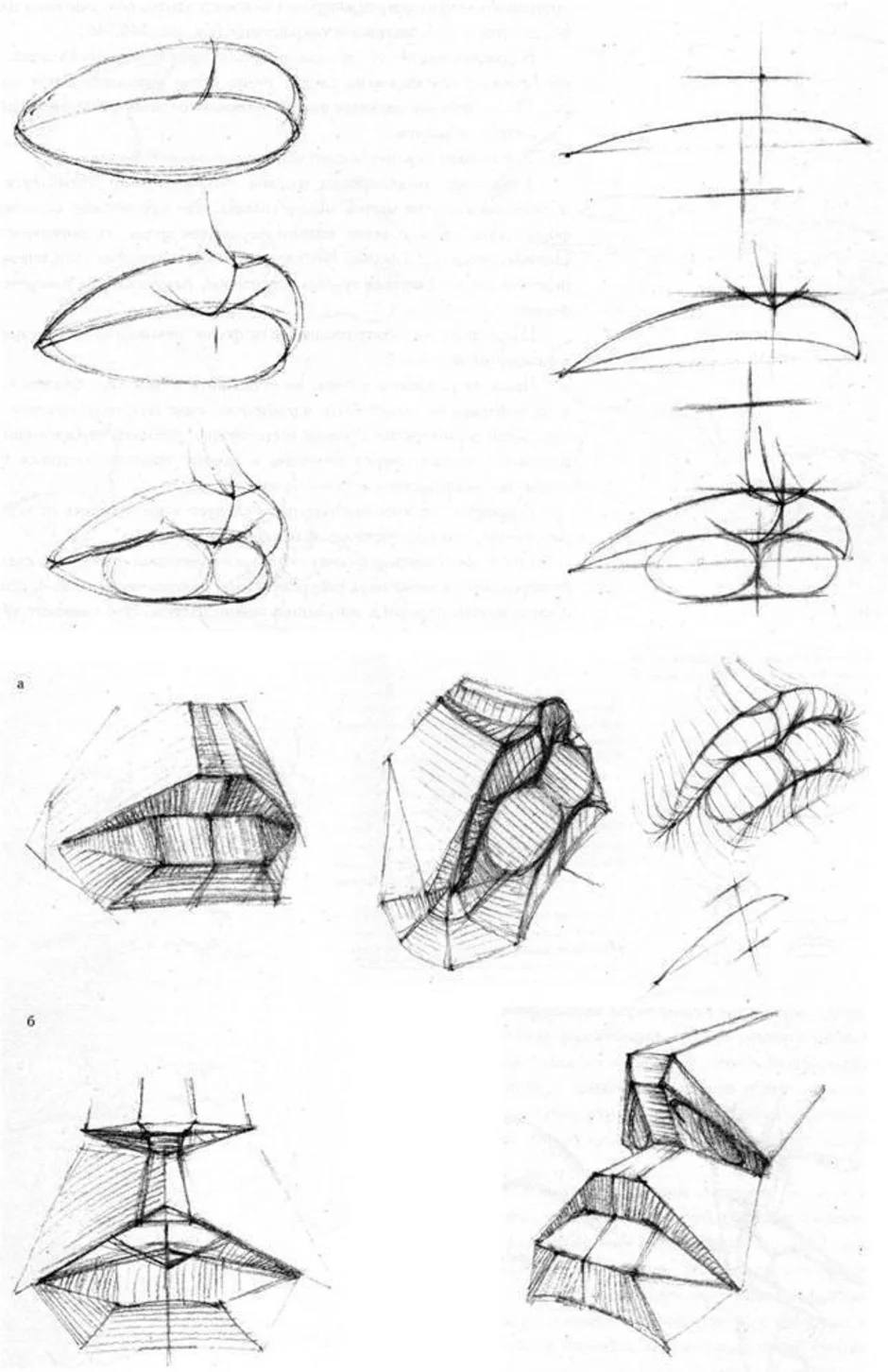 Этапы построения эскиза губ
