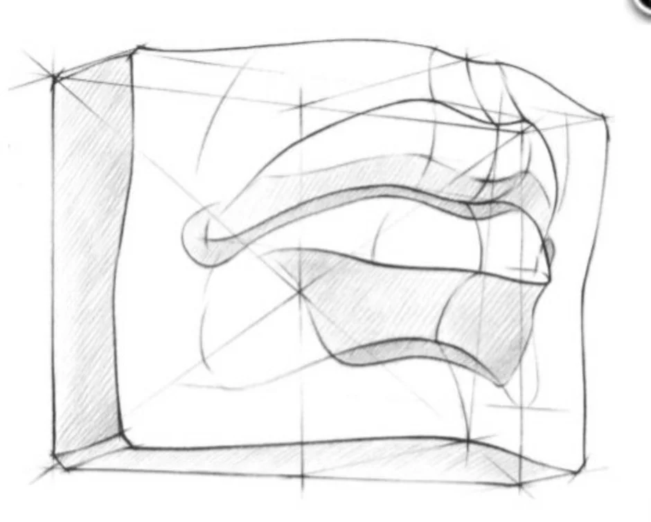 Построение губ давида академический рисунок