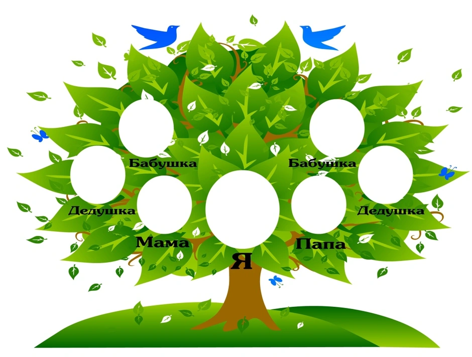 Древо семьи 1 класс рисунок в школу