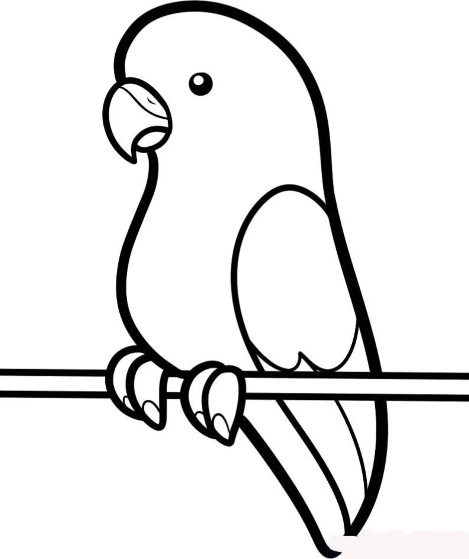 Easy bird drawing with colour