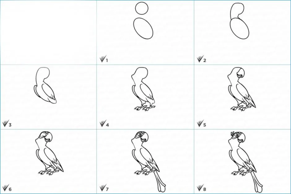 Нарисовать попугая поэтапно для детей 1 класса