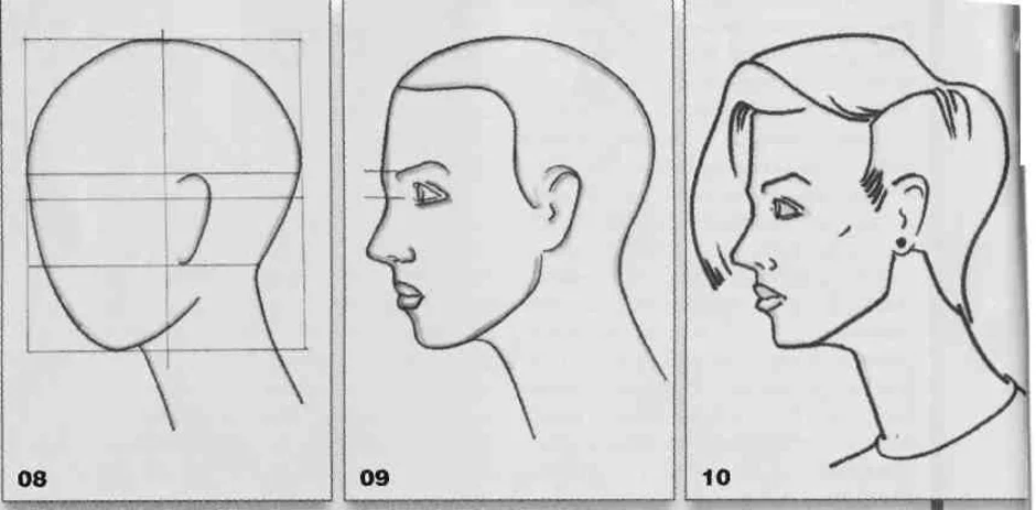 Поворот 3 4. Голова человека в профиль рисунок. Рисование головы человека в профиль. Голова человека в профиль схема. Схема рисования головы в профиль.